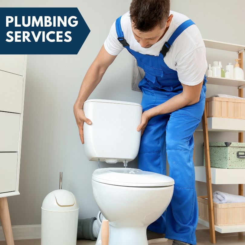 Plumbing Company in Scotts, MI